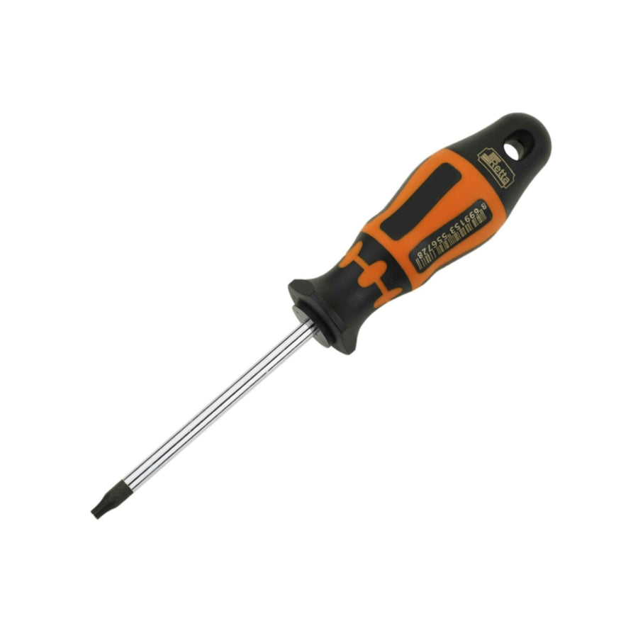 RETTA RXT1025 TORX UÇ DELİKLİ TORNAVİDA T25x100 MM - 1. görsel